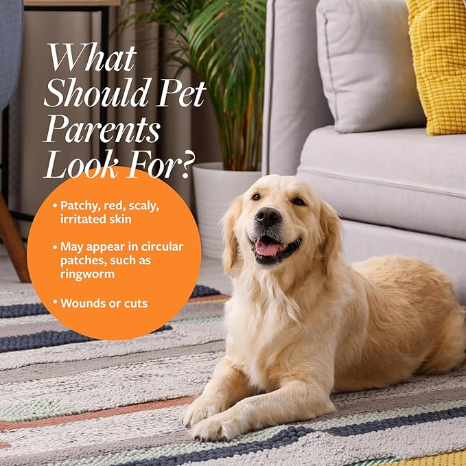 Veterinary Formula Clinical Care Antiseptic and Antifungal Medicated